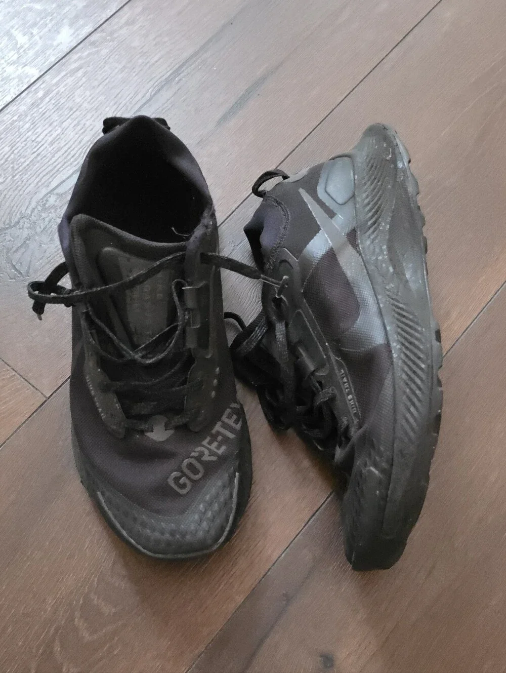 Nike Pegasus Trail 3 GORE-TEX running shoes